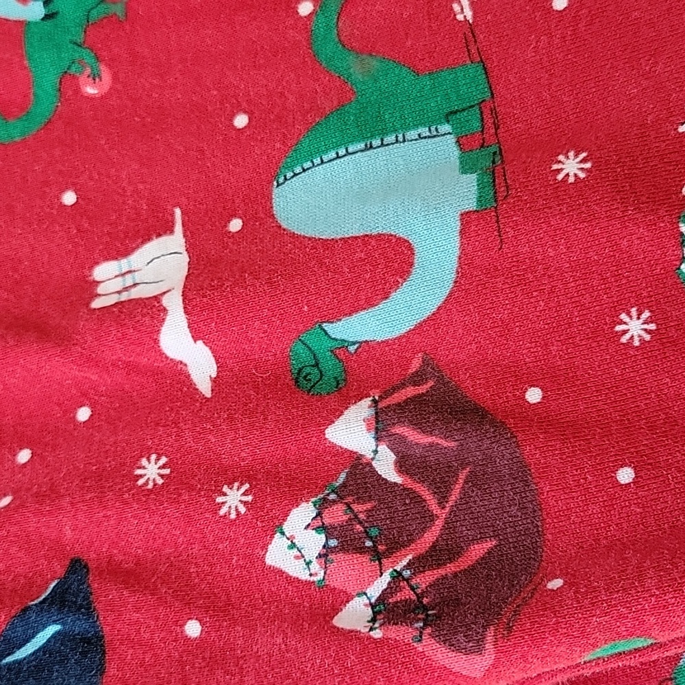 EUC Wondershop (Target) Women's Holiday pajama set 1X - Picture 12 of 12